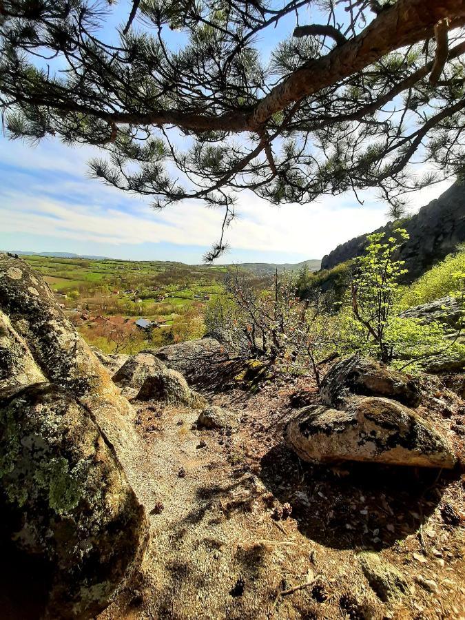 Vidikovac Golo Brdo Villa Knic Dış mekan fotoğraf