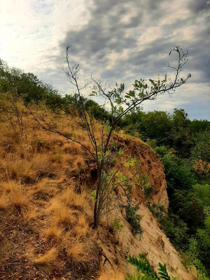 Vidikovac Golo Brdo Villa Knic Dış mekan fotoğraf