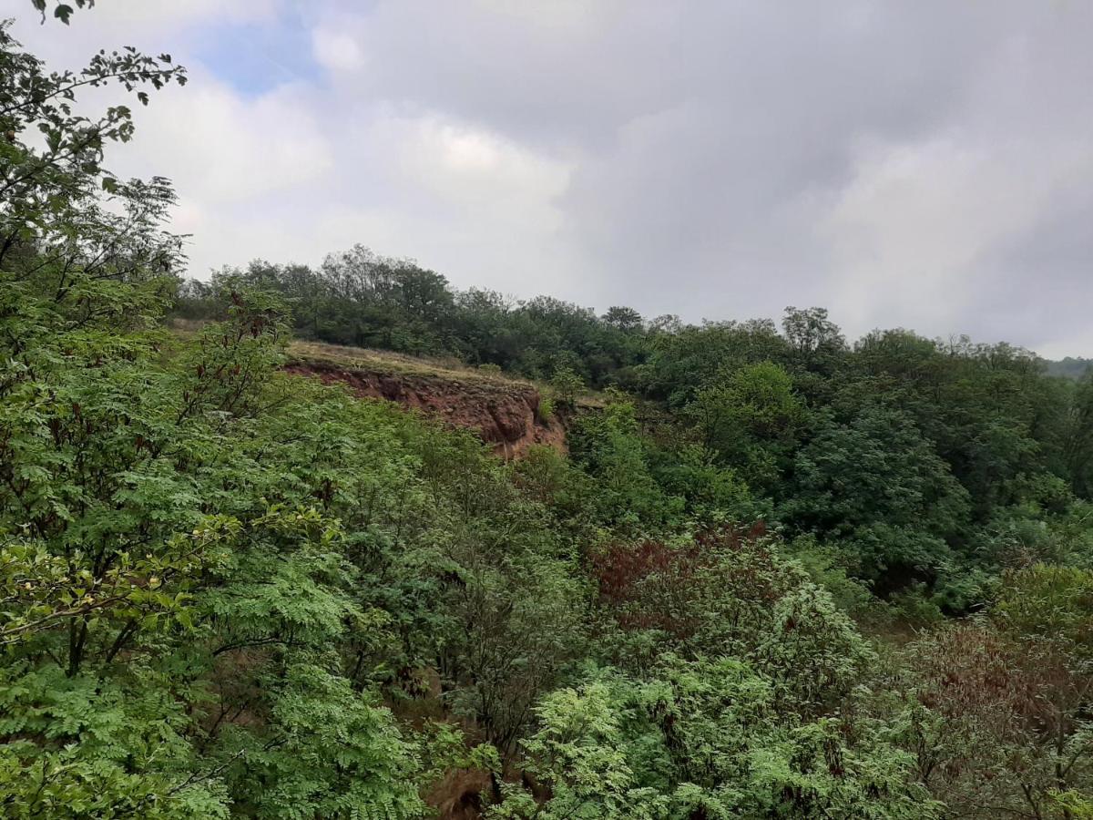 Vidikovac Golo Brdo Villa Knic Dış mekan fotoğraf